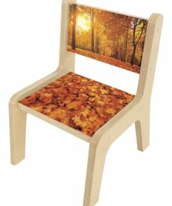Flash Sale 🔥 Whitney Brothers Nature View Autumn Chair, 10-Inch Seat, 13-3/4 X 16-1/4 X 21-1/2 Inches 😀